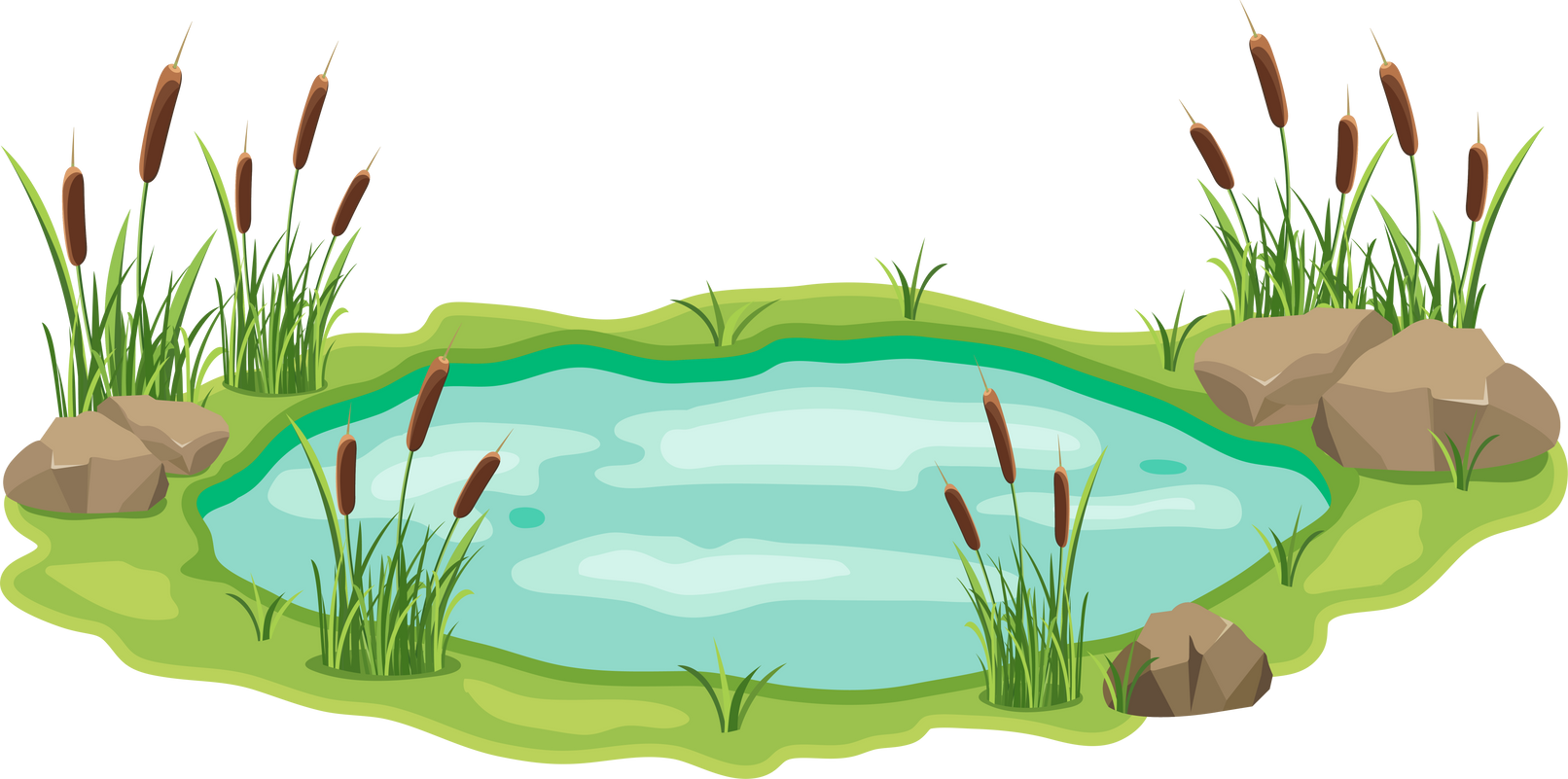 Pond with Cattail and Thickets